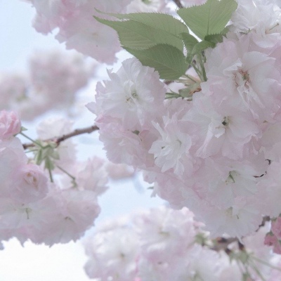 兽设冰川场景创作兽圈社群